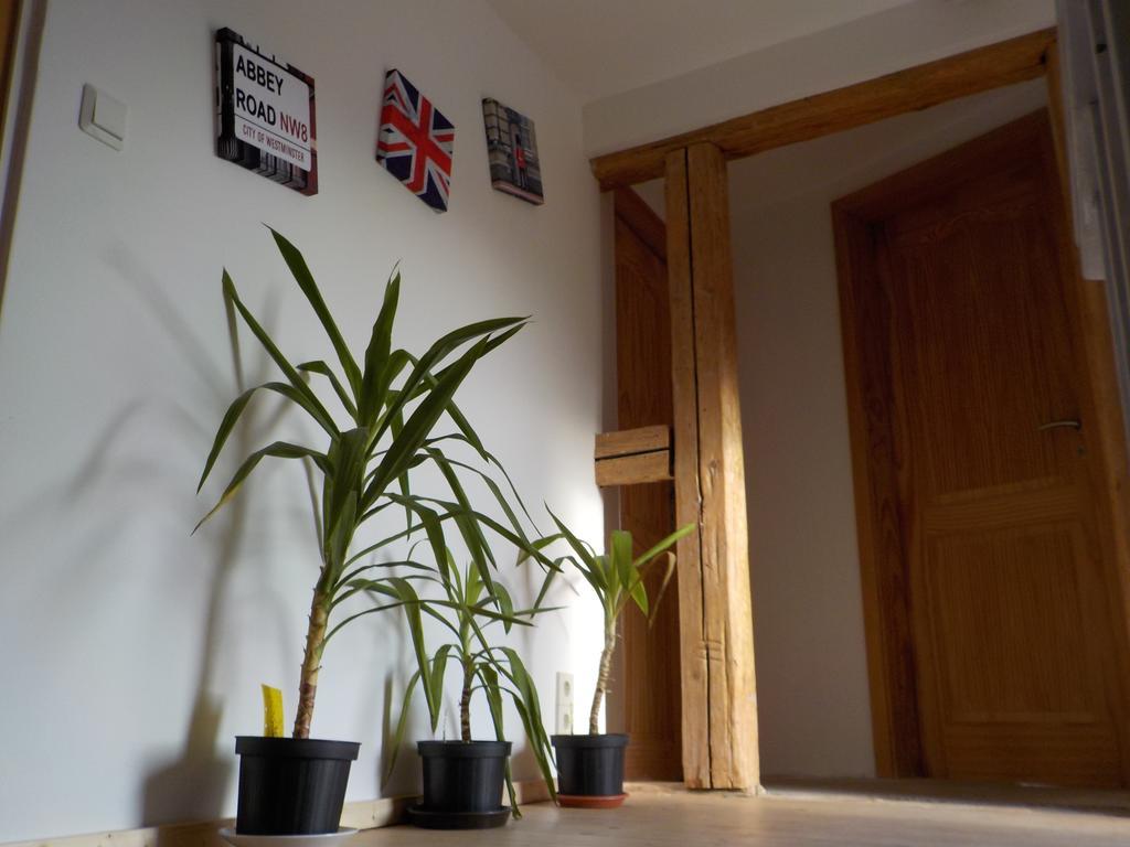 Ferienhaus Schock Thale Buitenkant foto